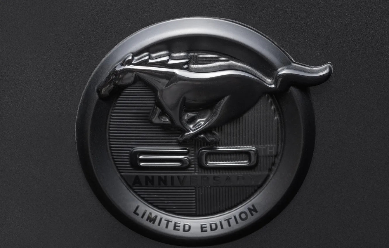 Фото обои Ford, логотип, Форд, эмблема, logo, серый фон, Brazil, Ford Mustang GT