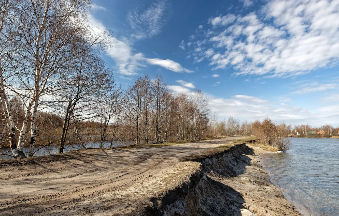 Фото обои природа, река, берёзы