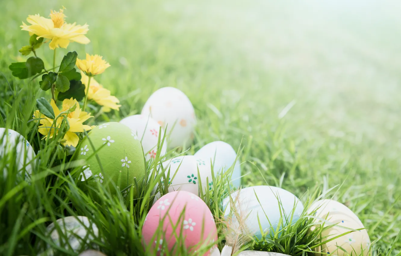Фото обои трава, цветы, яйца, Пасха, happy, flowers, eggs, easter