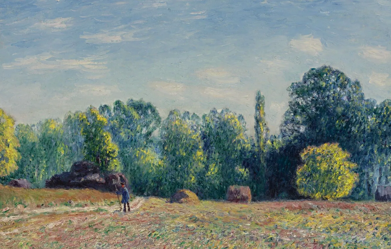 Фото обои поле, пейзаж, картина, Alfred Sisley, Альфред Сислей, Край Леса
