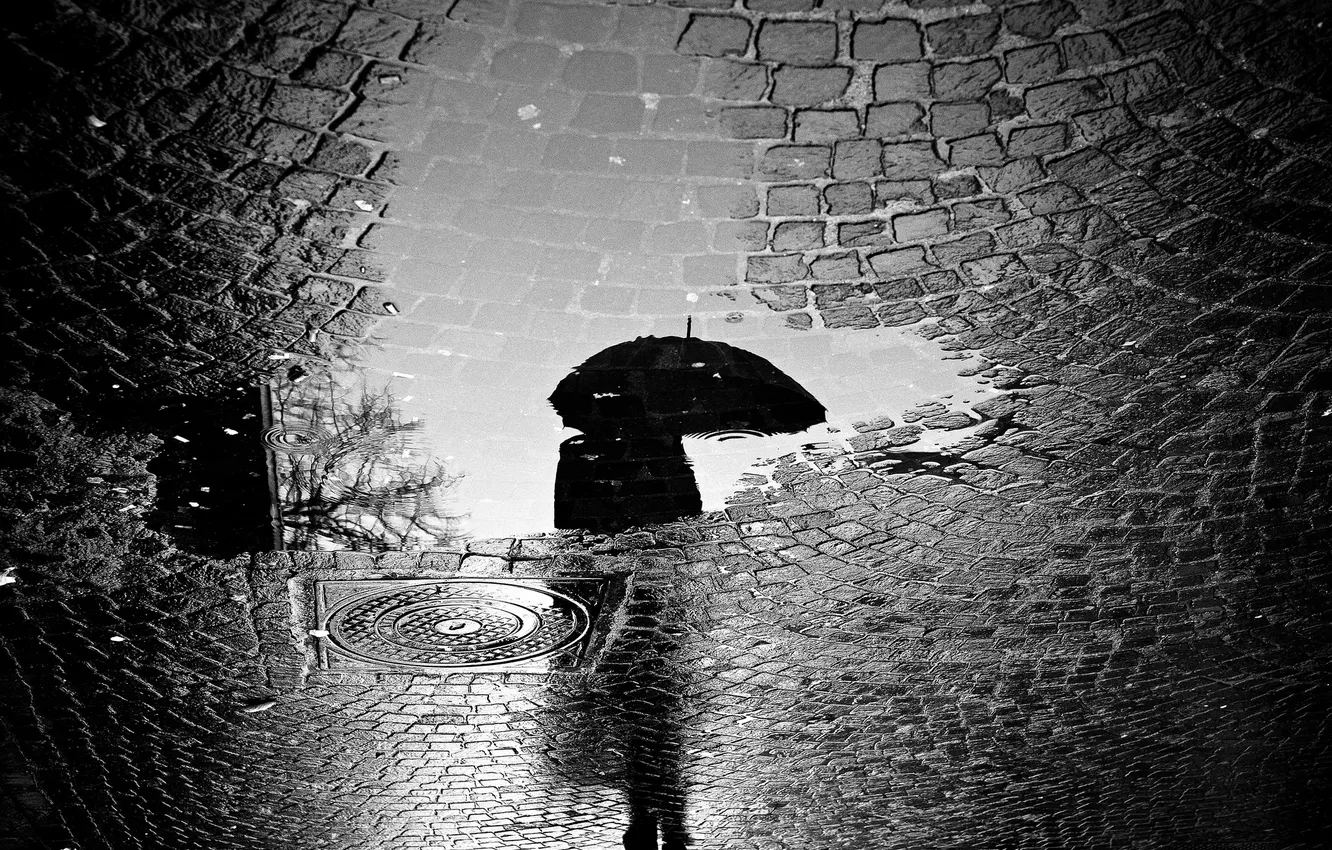 Фото обои дорога, город, отражение, дождь, человек, зонт, лужа, тротуар