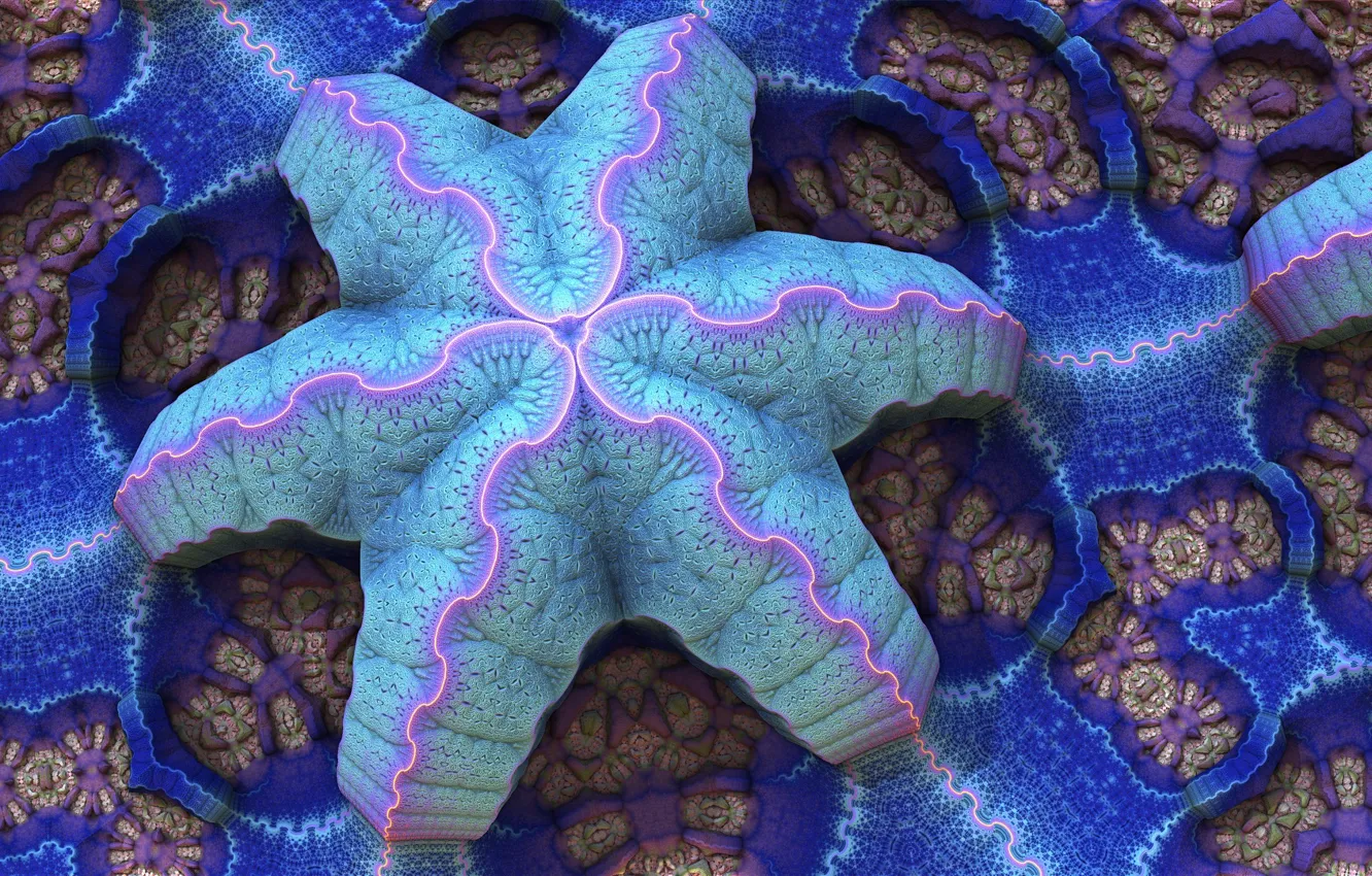 Фото обои звезды, форма, морской