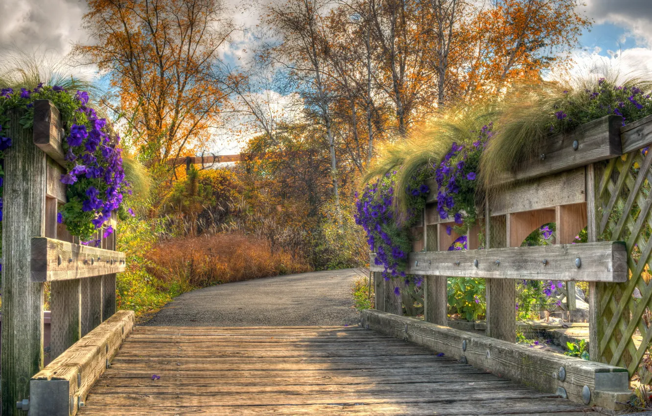 Фото обои цветы, мост, природа