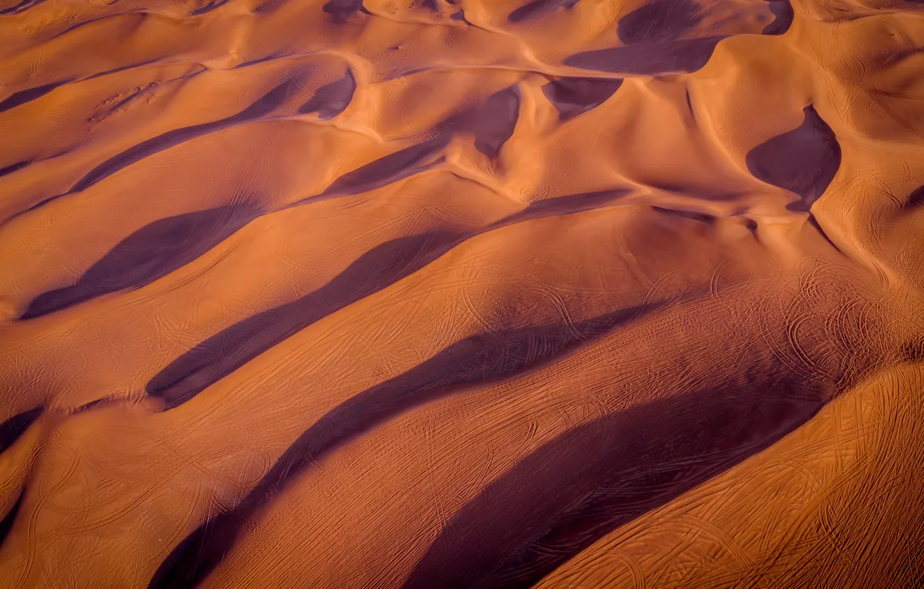 Фото обои утро, Пустыня, следы на песке