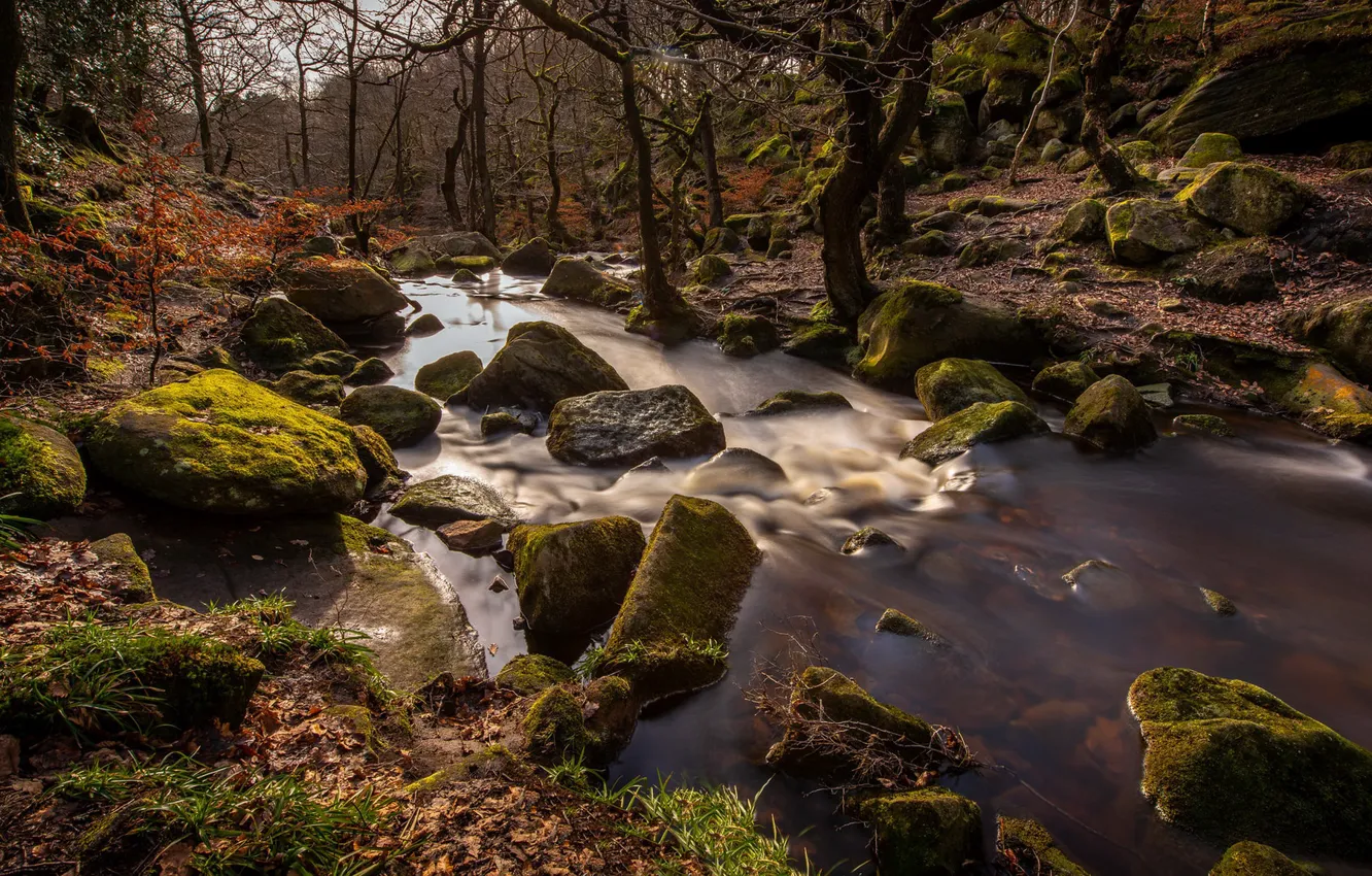 Фото обои осень, природа, река