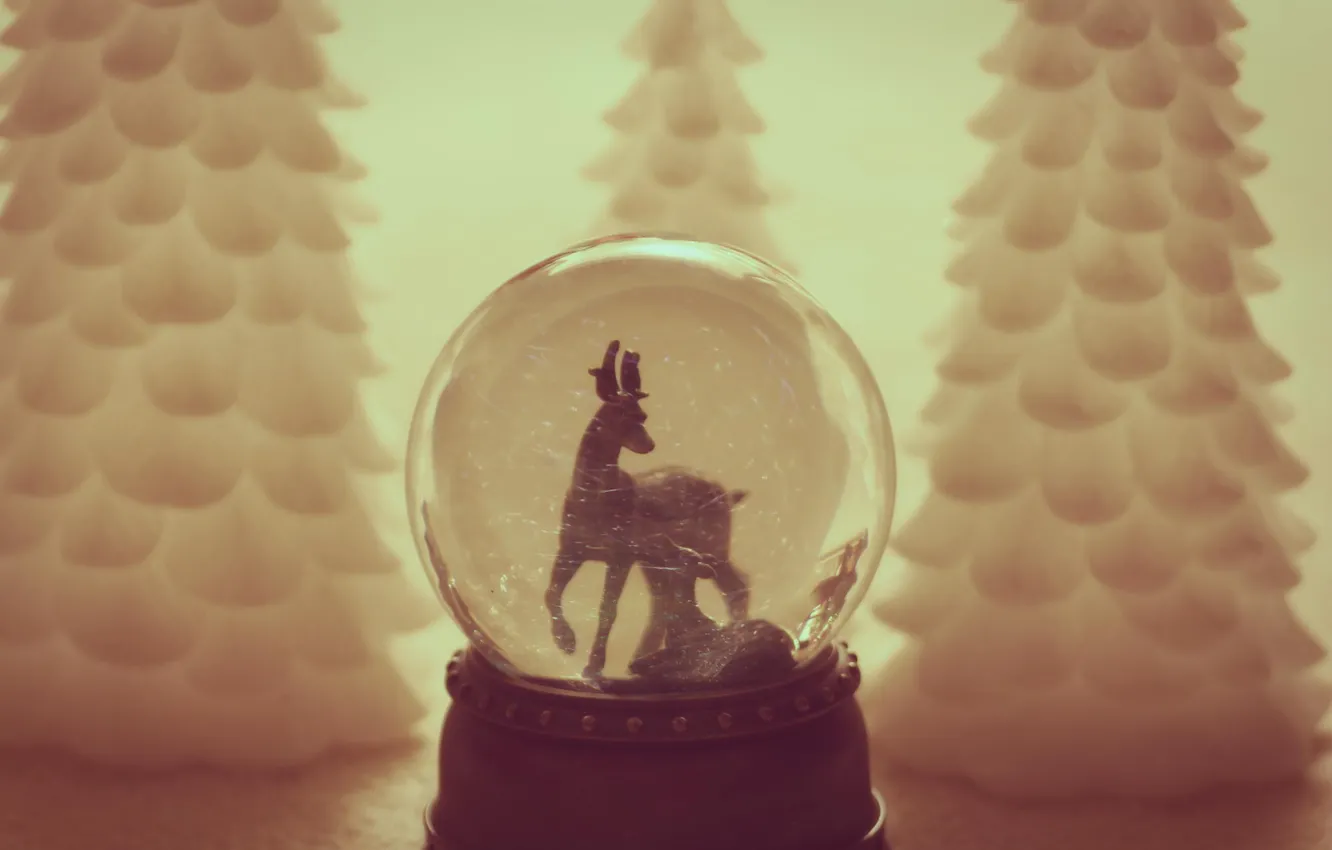 Фото обои игрушка, елка, шар, ель, Рождество, Новый год, ёлка, ёлочка