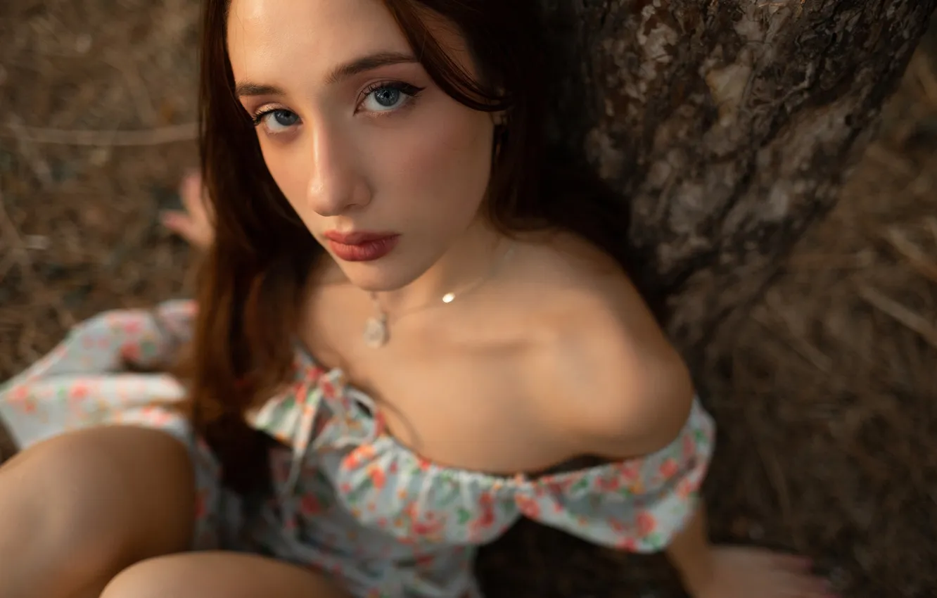 Фото обои girl, trees, nature, model, brunette, sitting, red lipstick, looking at viewer