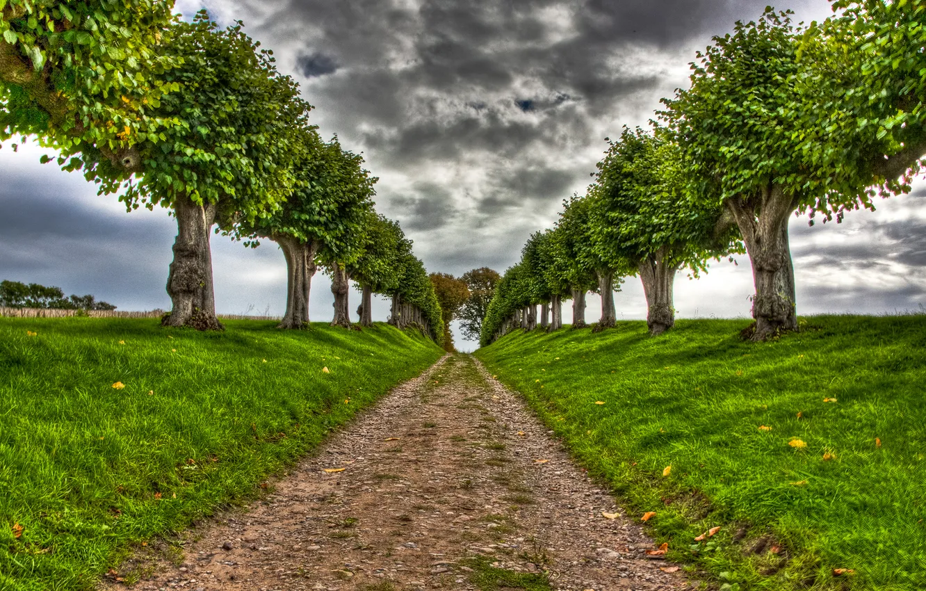 Фото обои дорога, деревья, HDR, аллея