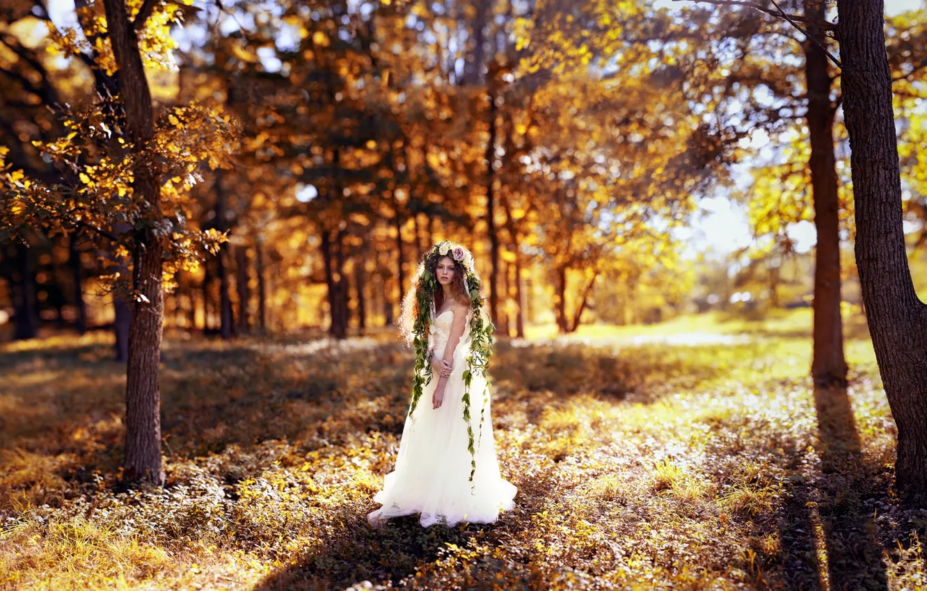 Фото обои girl, sunshine, trees, park, flowers, crown, autumn, shadows