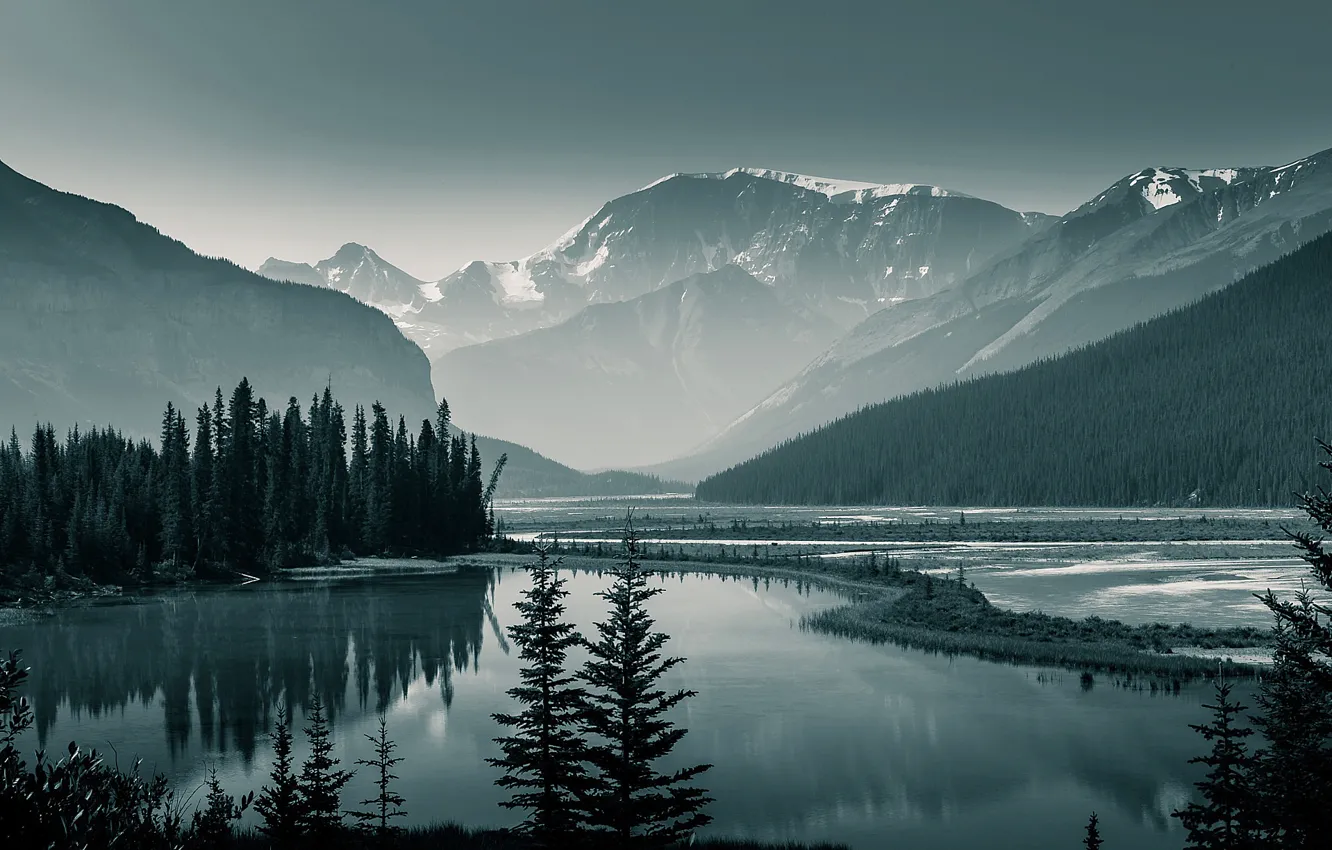 Фото обои лес, деревья, горы, озеро, скалы, Канада, Альберта, Banff National Park