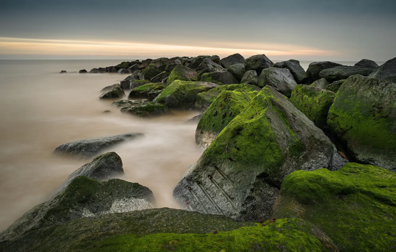 Фото обои море, небо, облака, водоросли, камни, берег, мох, зеленые
