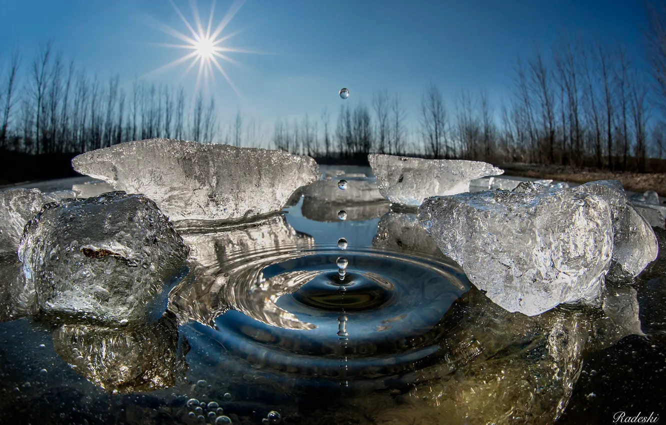 Фото обои зима, вода, солнце, капли, макро, лёд, всплеск