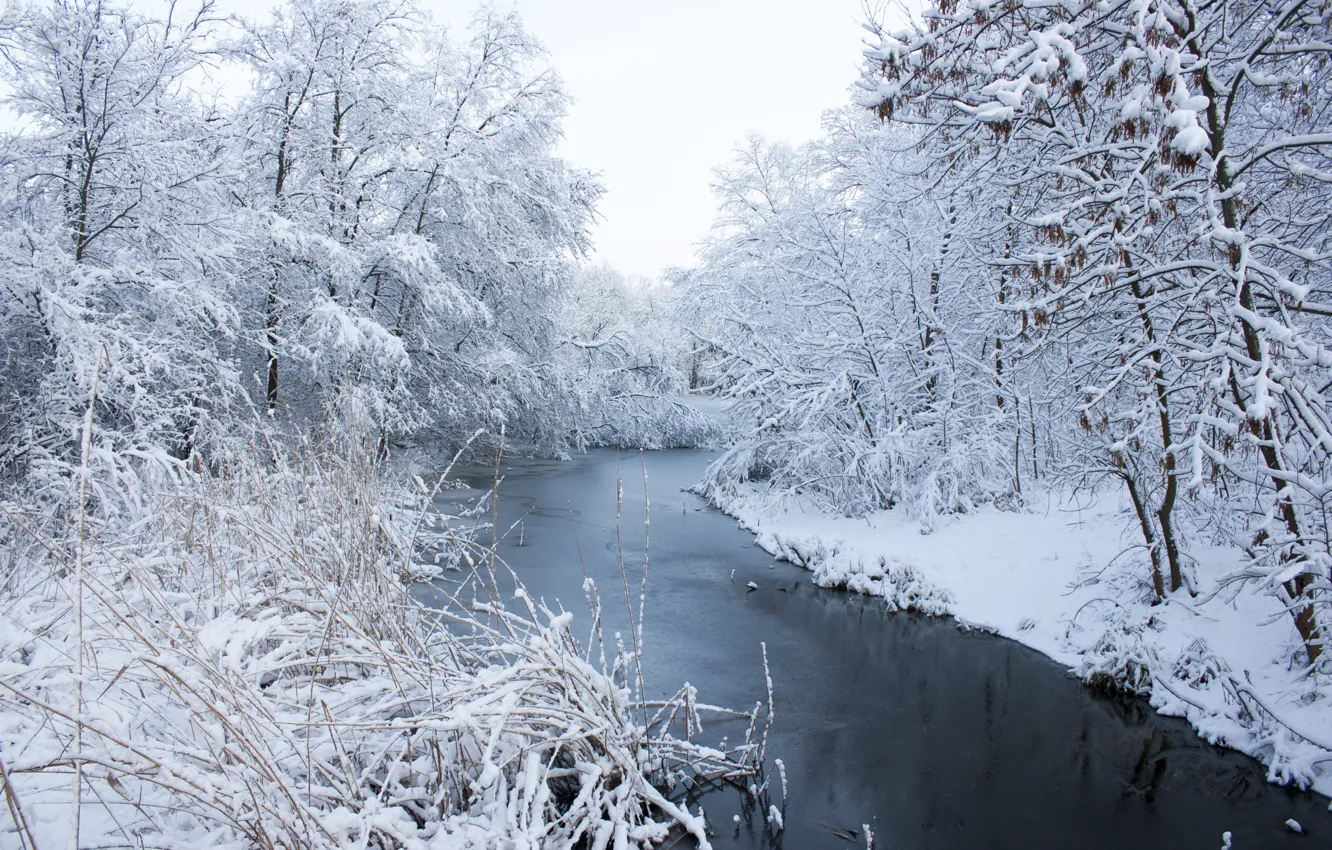 Фото обои зима, снег, деревья, пейзаж, река, white, river, landscape