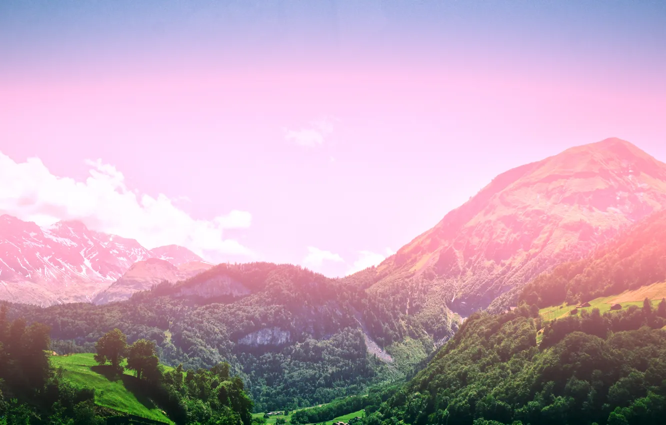 Фото обои лес, небо, солнце, деревья, горы, by mike pro, альпийская поляна