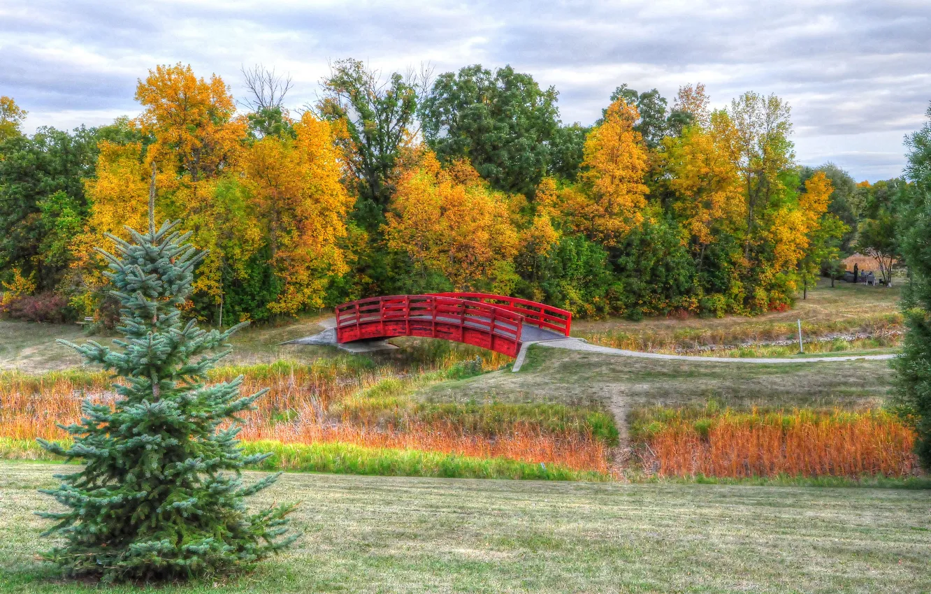 Фото обои осень, небо, трава, деревья, мост, парк