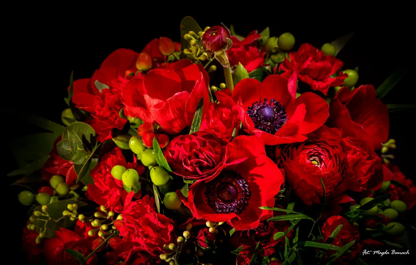 Фото обои красный, тюльпан, букет, гвоздика, ранункулюс, анемон