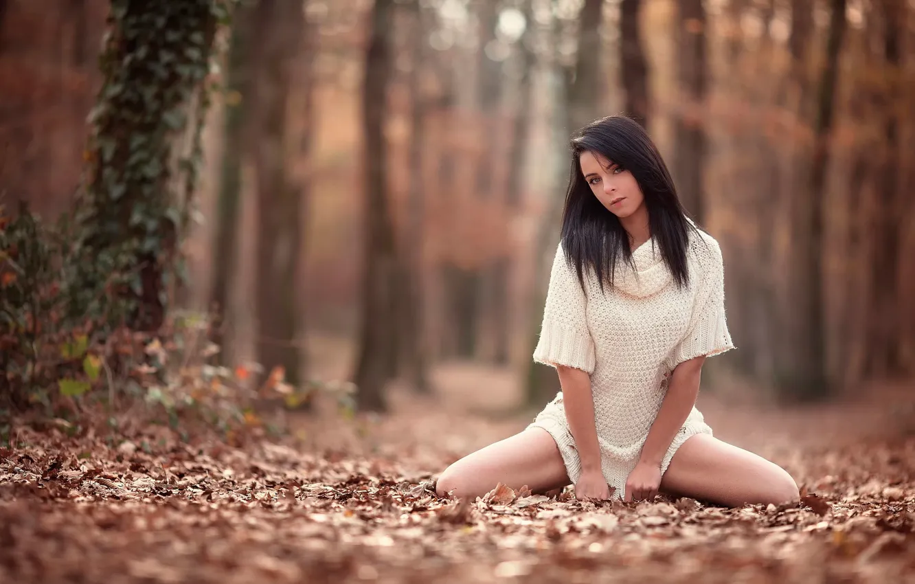 Фото обои осень, взгляд, ножки, прелесть, Arya, Laurent KC