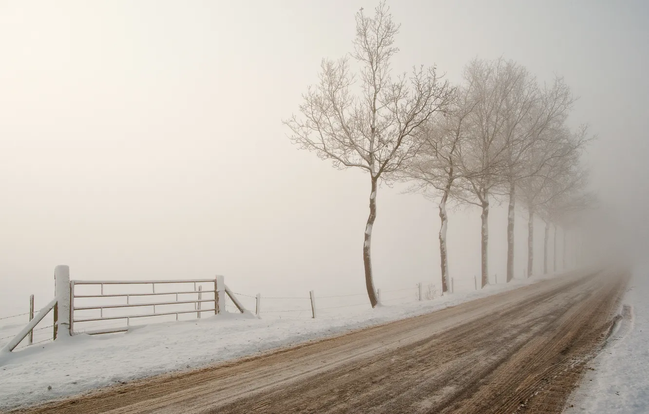 Фото обои снег, туман, wintery road