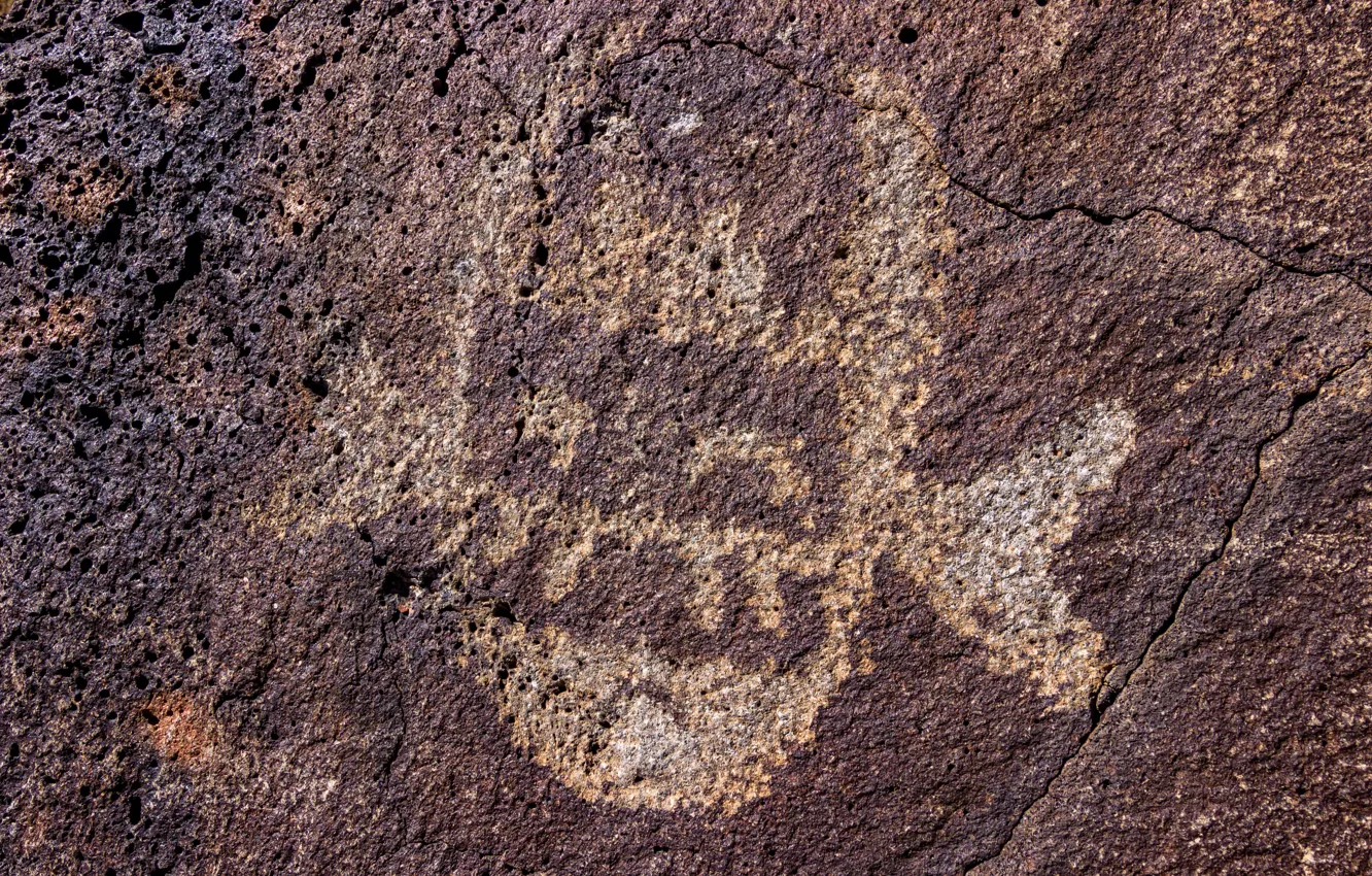 Фото обои камень, древность, New Mexico, петроглифы