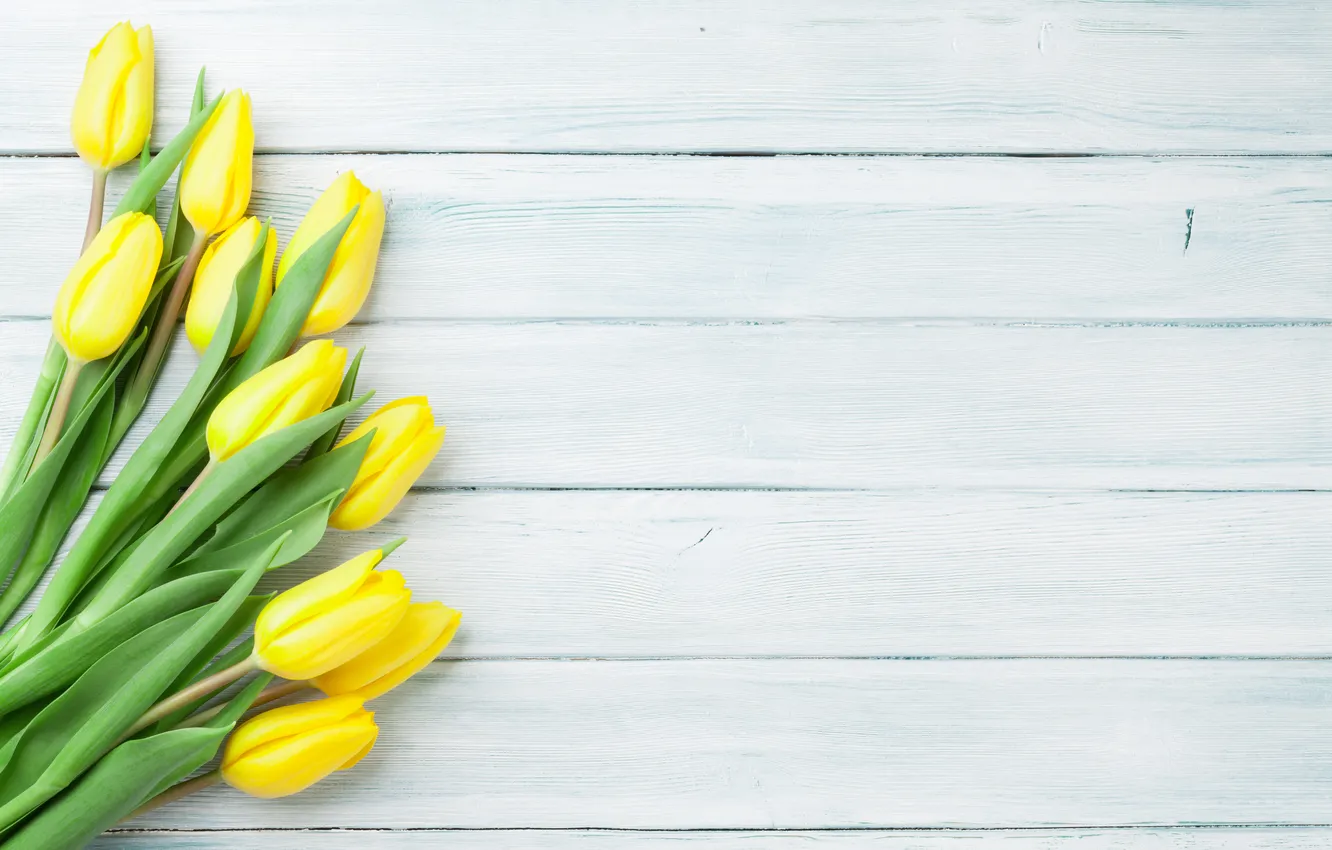 Фото обои цветы, букет, тюльпаны, yellow, wood, flowers, tulips, spring