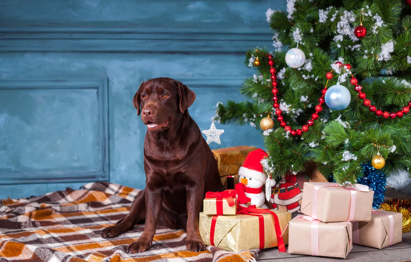 Фото обои украшения, шары, елка, собака, Рождество, подарки, Новый год, снеговик