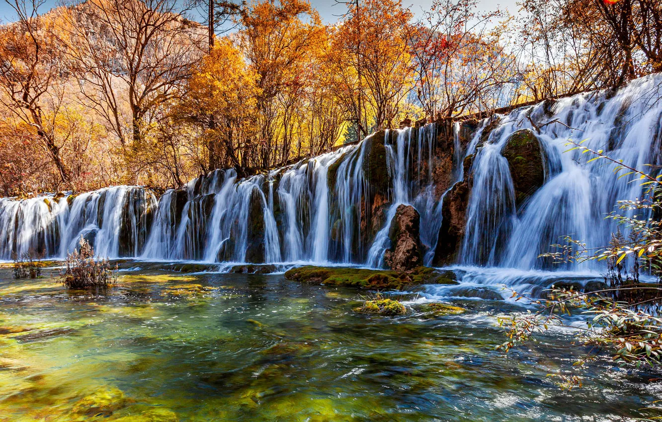 Фото обои осень, лес, деревья, ветки, река, скалы, течение, водопад