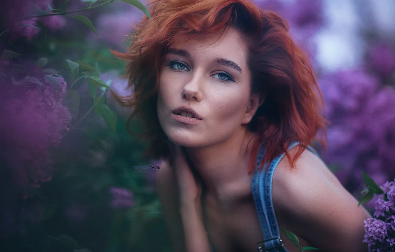 Фото обои взгляд, девушка, лицо, рыжая, рыжеволосая, сирень, Alexander Drobkov-Dark, Мария Ларина