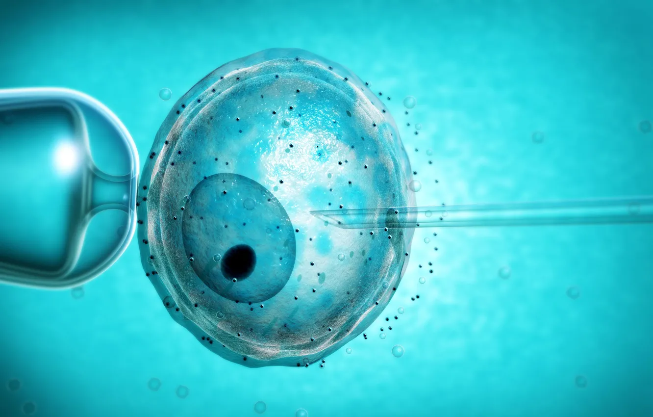 Фото обои игла, клетка, ядро, шприц, оболочка, цитоплазма, искусственное оплодотворение