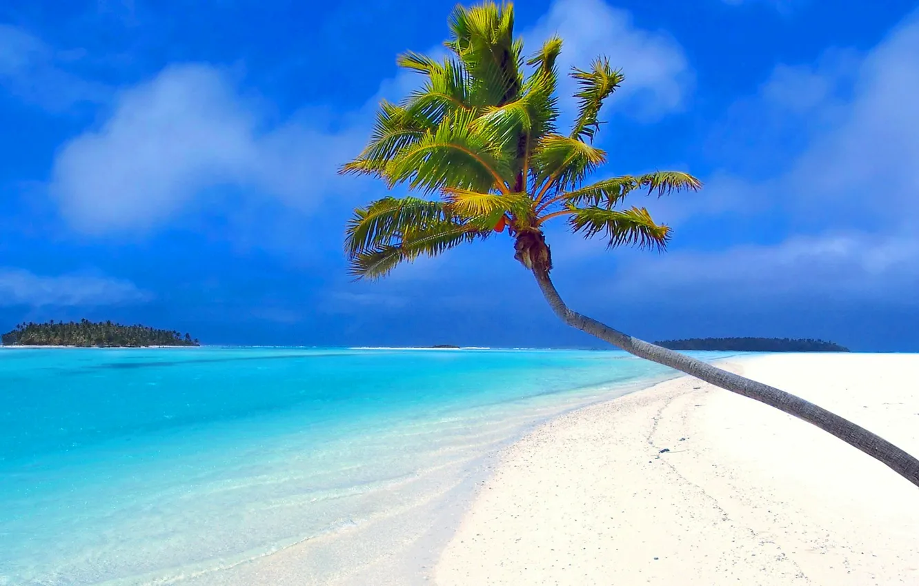 Фото обои песок, море, пляж, небо, тропики, пальма, океан, остров