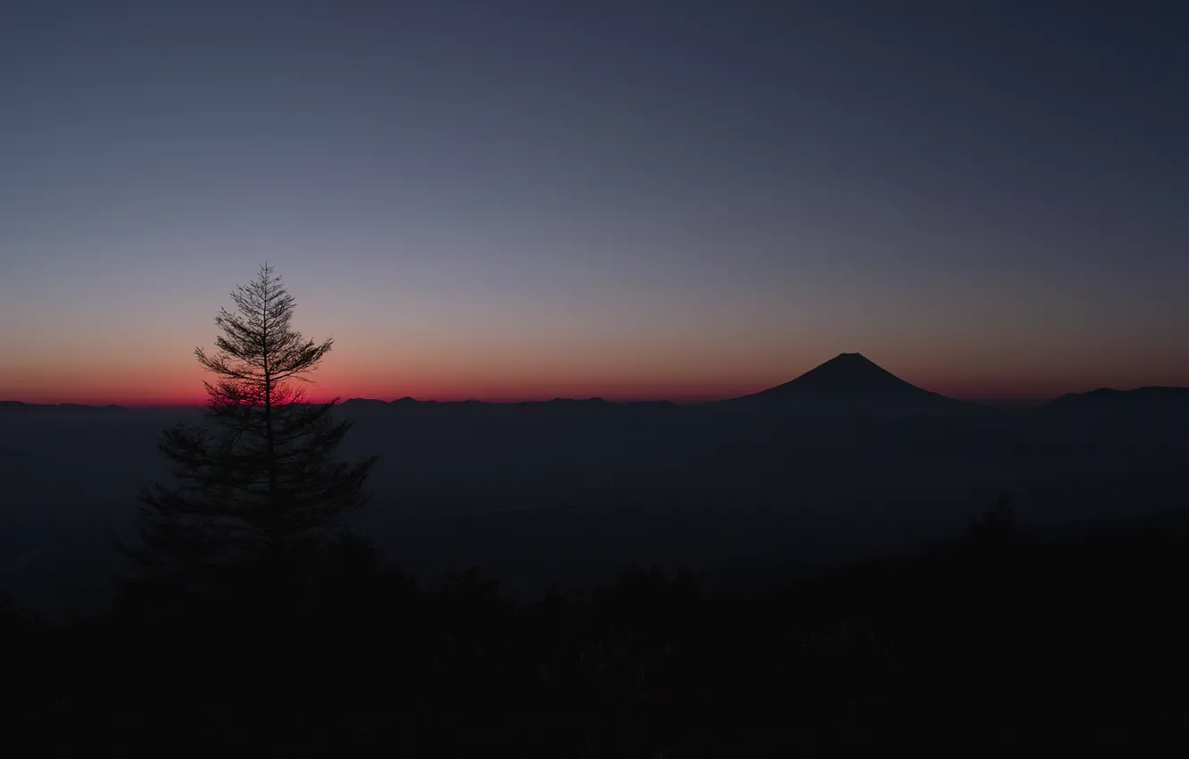 Фото обои небо, дерево, гора, Япония, горизонт, зарево, Фудзияма
