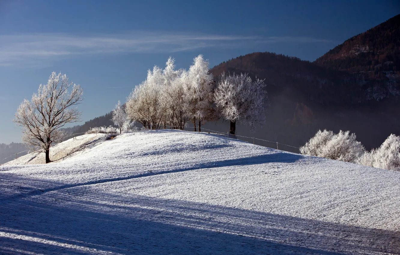 Фото обои зима, снег, деревья, пейзаж, забор