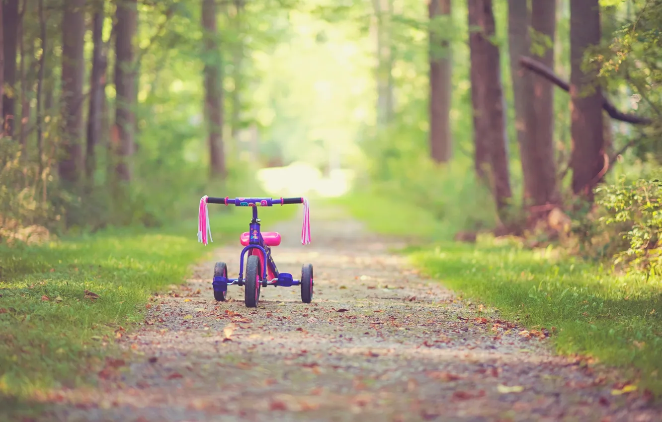 Фото обои листья, деревья, велосипед, детство, фон, дерево, розовый, widescreen
