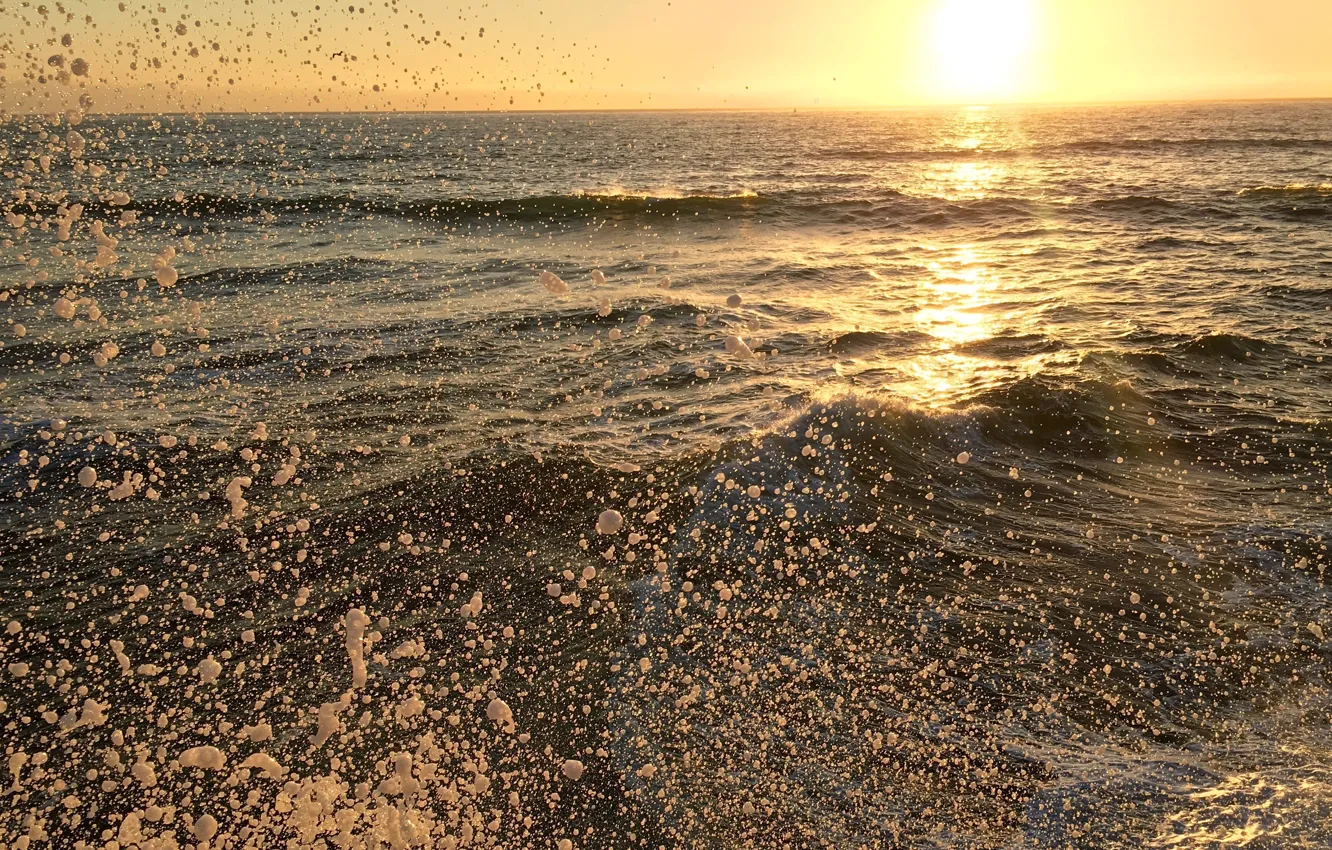 Фото обои море, пена, вода, солнце, брызги
