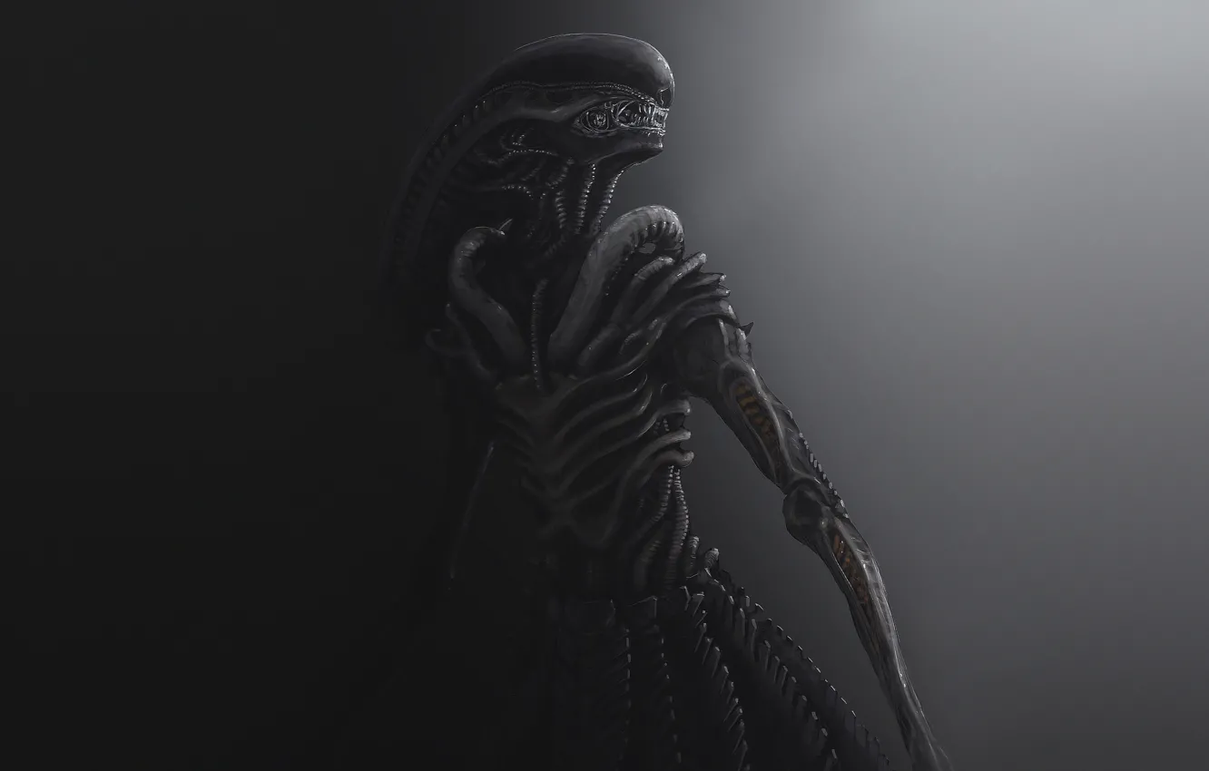 Фото обои Рисунок, Чужой, Art, Alien, Aliens, Concept Art, Xenomorph, Dmitrii Ustinov