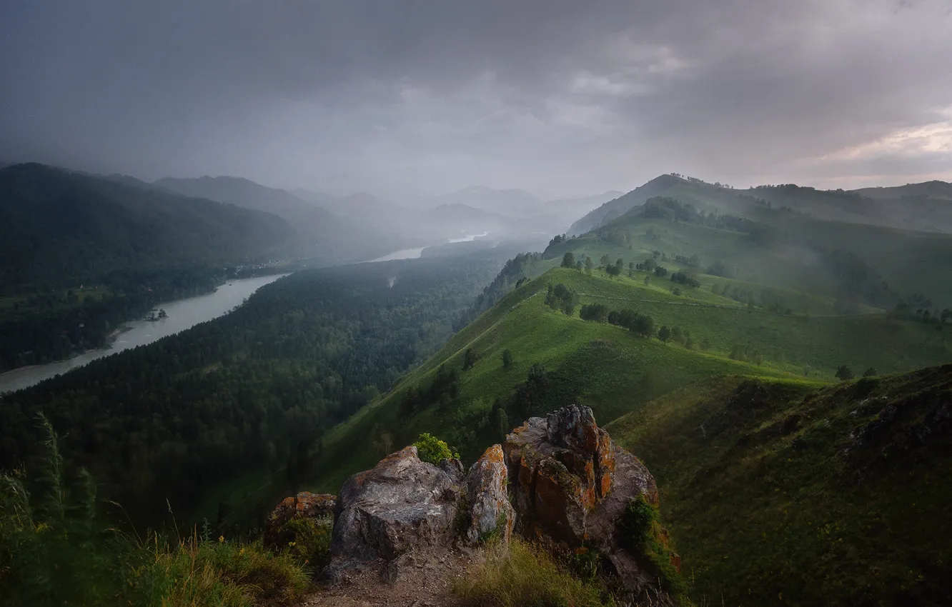 Фото обои лес, горы, туман, река, камни, пасмурно, холмы, долина