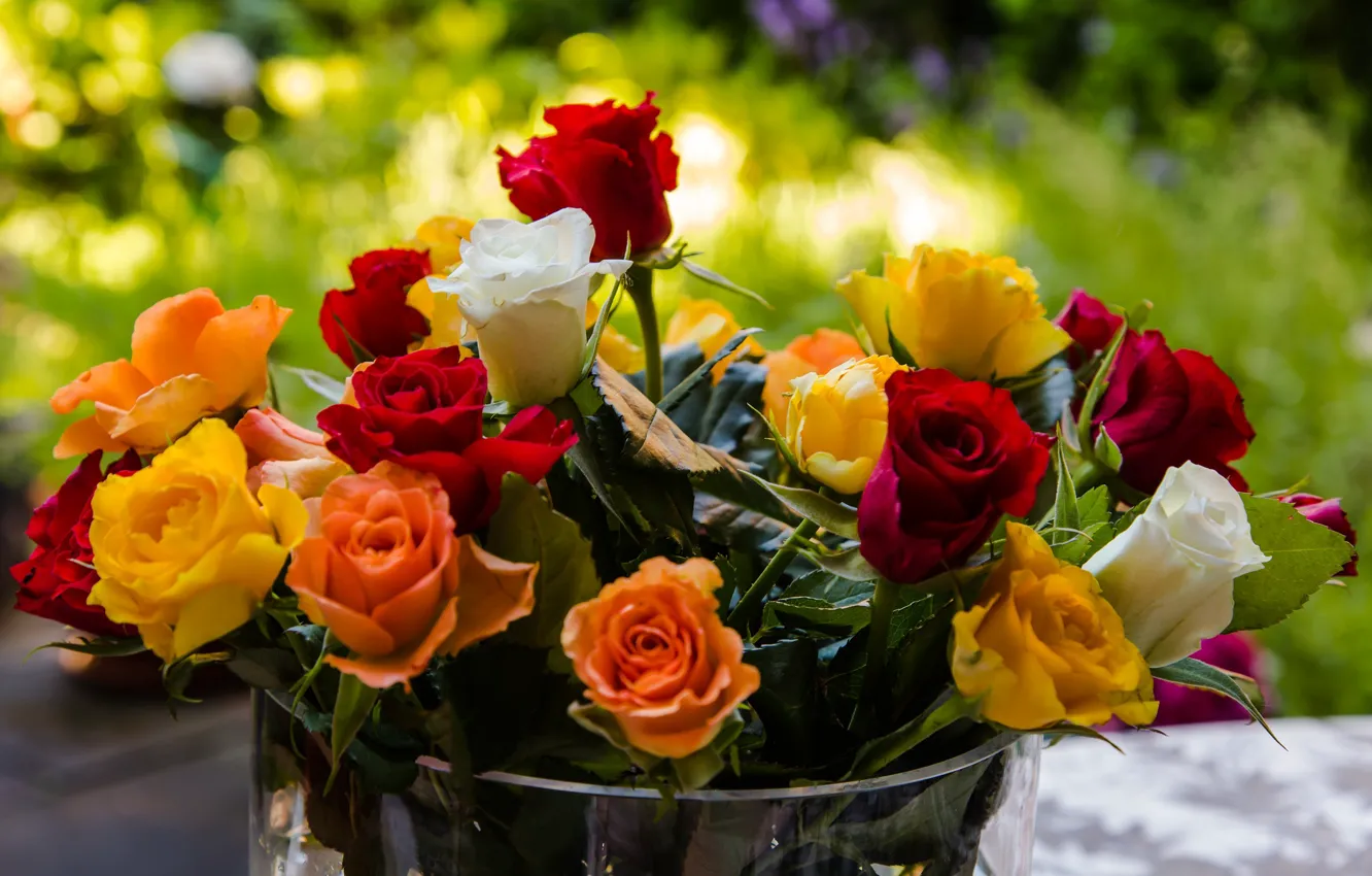 Фото обои цветы, розы, букет, ведро