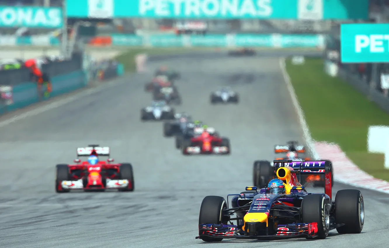 Фото обои Гонщик, Formula 1, Red Bull, Vettel, Sepang, Malaysia, Чемпион, 2014