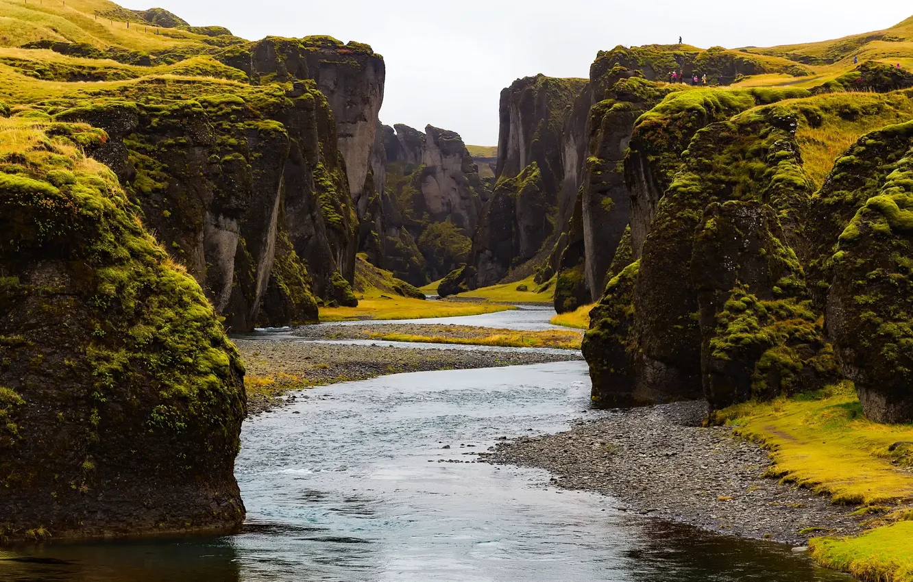 Фото обои зелень, камни, скалы, мох, каньон, речка, Исландия, Fjadrargljufur