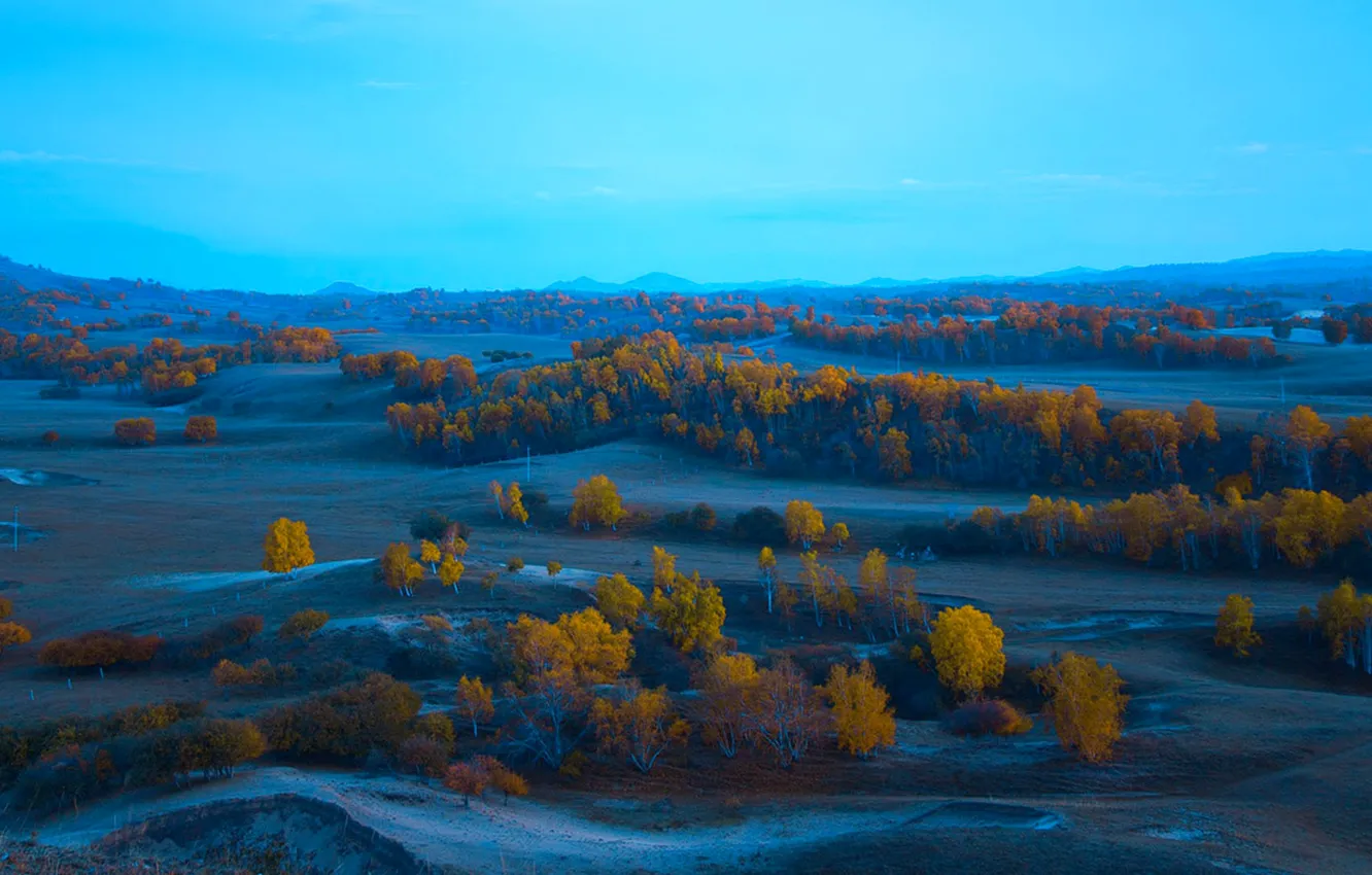 Фото обои осень, небо, деревья, холмы, вечер