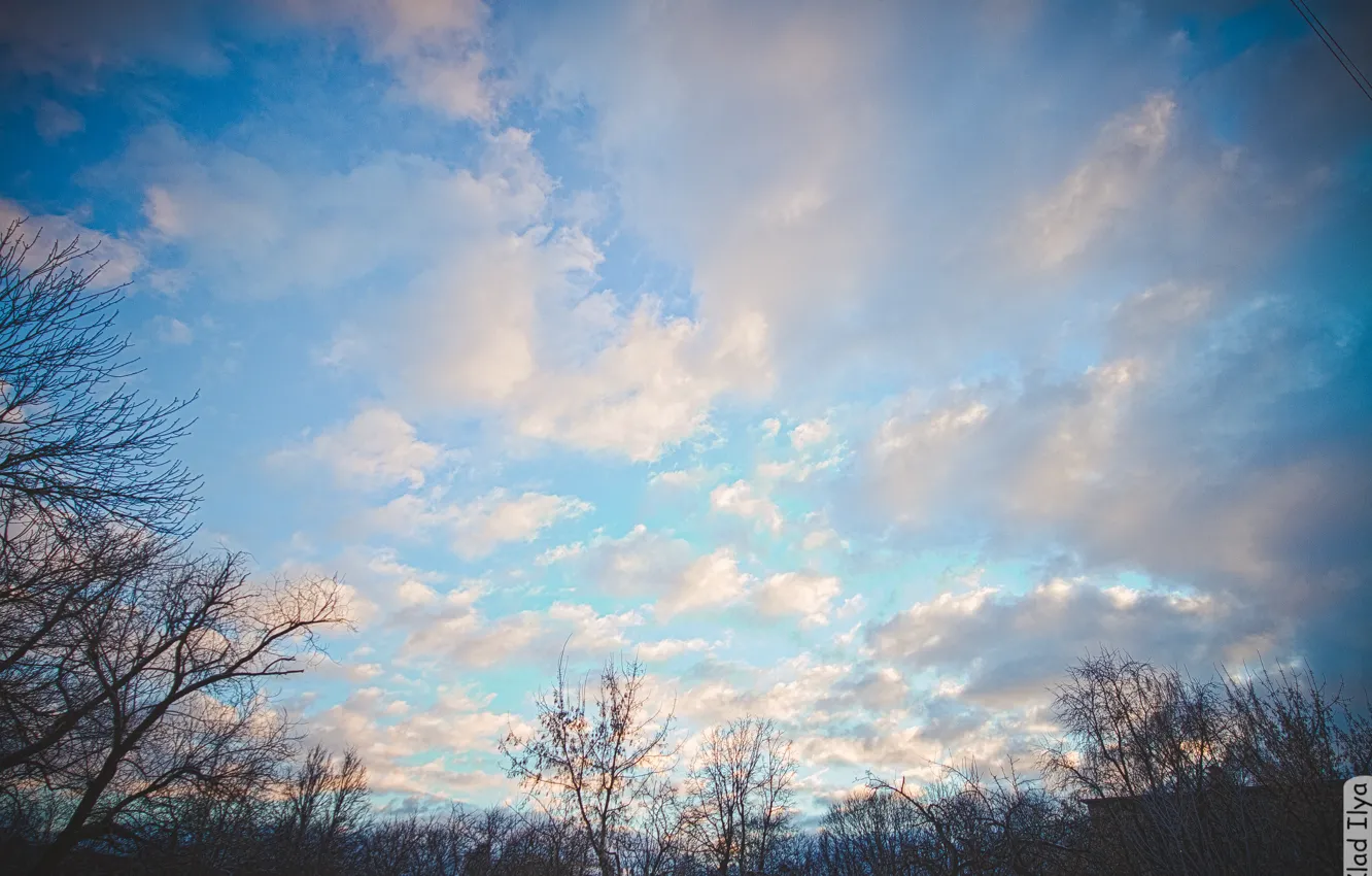 Фото обои небо, облака, деревья, sky, trees, clouds, Калуга, Kaluga