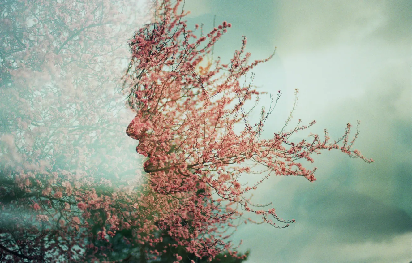 Фото обои лицо, дерево, весна, цветки, Úna, двойная экспозиция, double exposure