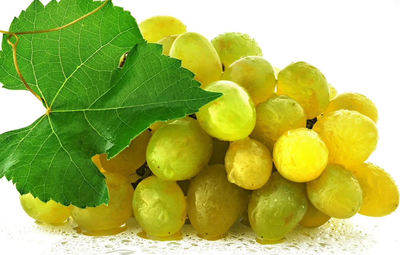 Фото обои листья, желтый, ягоды, berry, виноград, гроздь, yellow, leaves