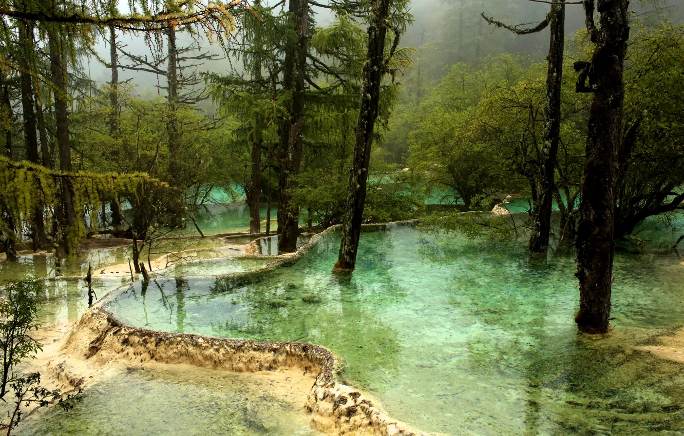 Фото обои вода, деревья, туман, парк, Китай, речка, Jiuzhaigou National Park