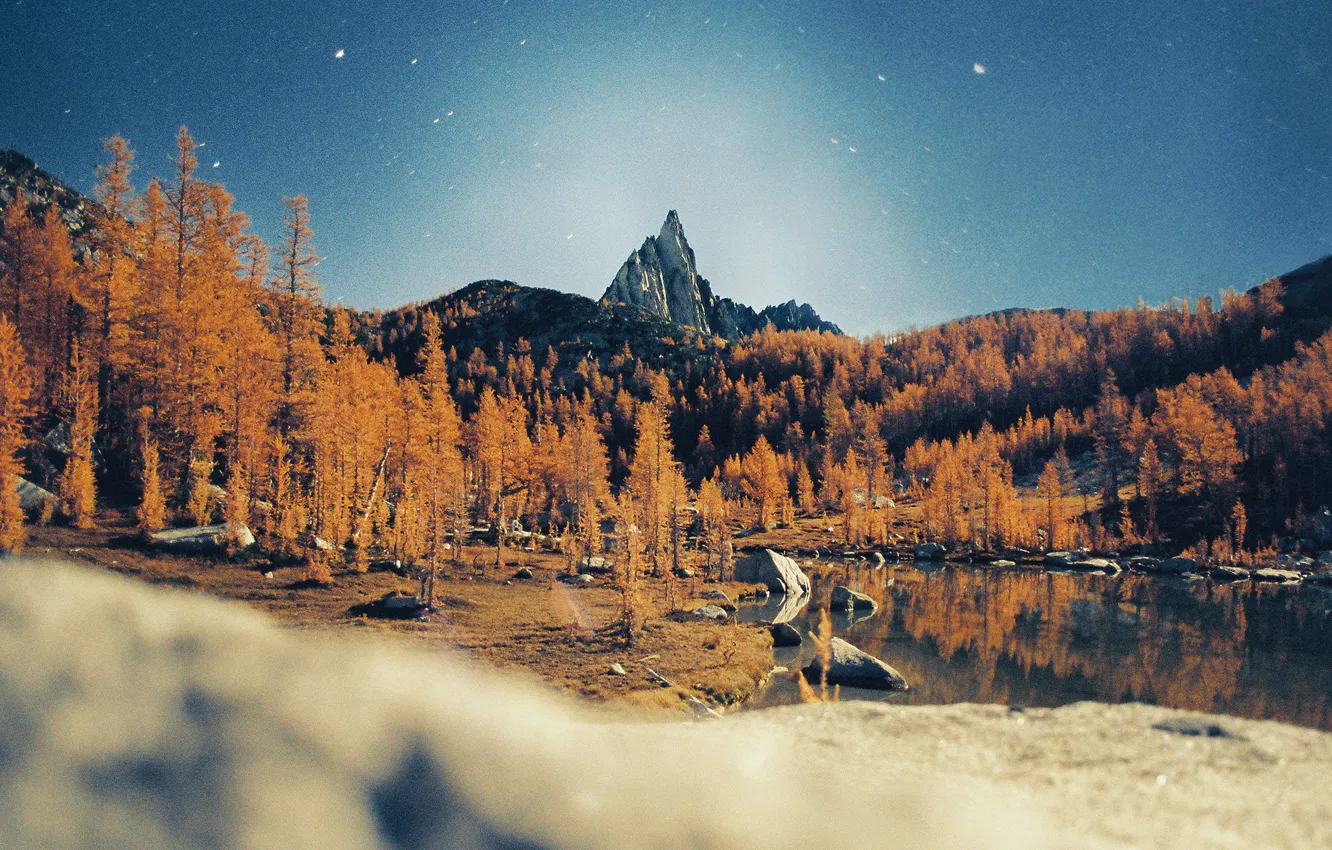 Фото обои звезды, деревья, горы, ночь, озеро, отражение, зеркало, пик