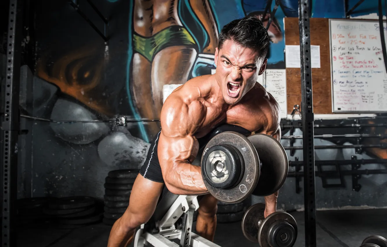 Фото обои поза, muscle, мышцы, pose, гантели, бицепс, бодибилдер, dumbbells