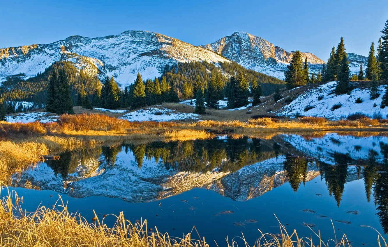 Фото обои небо, трава, снег, деревья, горы, озеро, отражение, ель