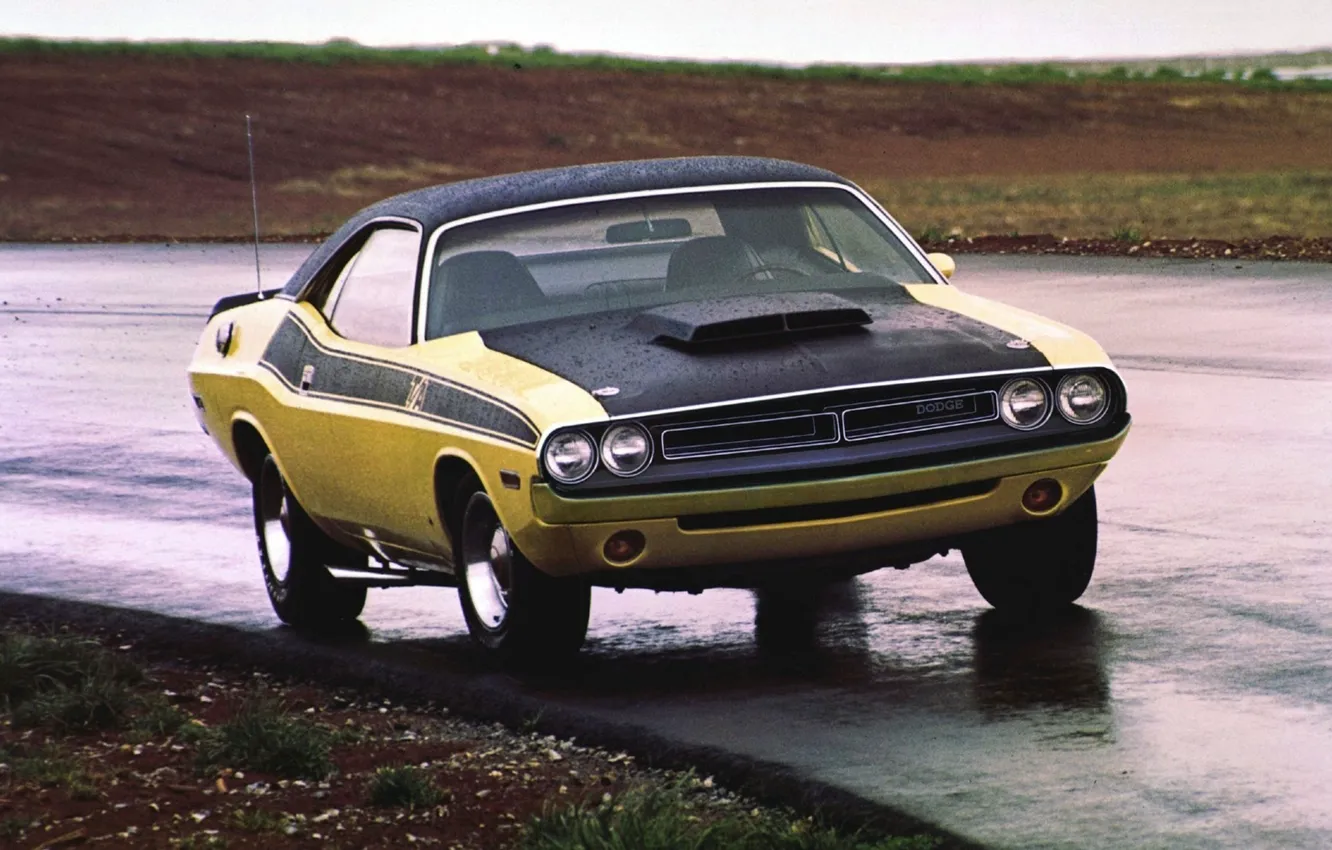 Фото обои Dodge, Challenger, Rain, Muscle car, Vehicle