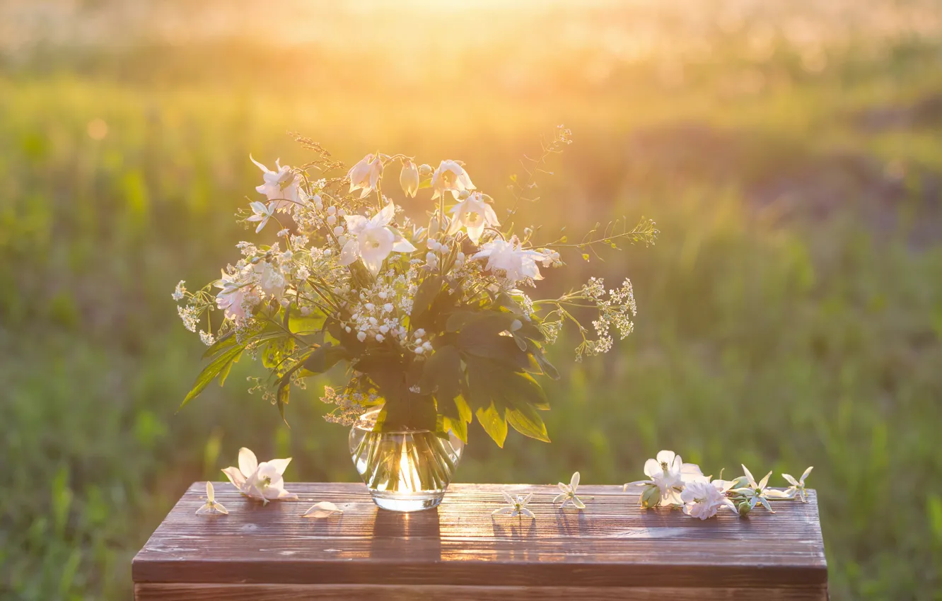 Фото обои цветы, природа, стол, фон, букет, ваза, Mayakruchankova