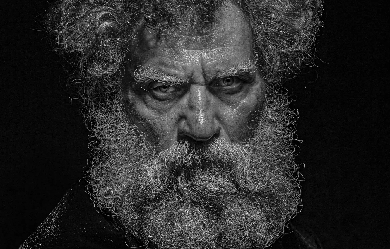 Фото обои black and white, gaze, beard