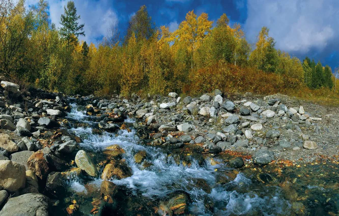 Фото обои осень, небо, листья, деревья, ручей, камни